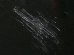 �G�|�L�V �T���^�N���[�Y �� 2